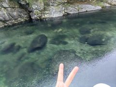 -石台牯牛降景区
