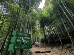 -莫干山风景区