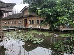 -新荷花世界