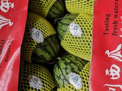 -庞各庄翠芳园西瓜蔬菜基地采摘园