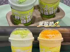 -茉酸奶(春熙路店)