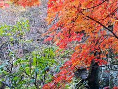 -丹东天桥沟景区