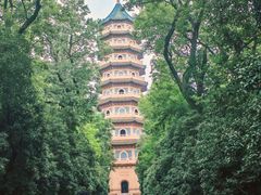 -灵谷景区