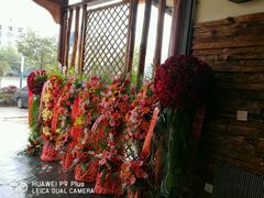 -云山灶.现炒云南菜(云大店)
