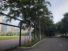 -沈阳奥林匹克体育中心