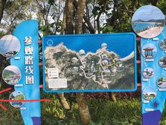 -广东惠东海龟国家级自然保护区
