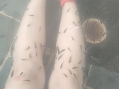 -华山御温泉度假村