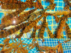 -三亚火车头万人海鲜广场