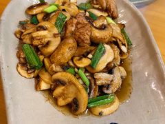 小炒口蘑-丰乐餐厅·始于1999·本地老字号