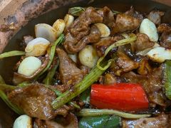 -天宝食坊·啫啫煲大排档(西华路店)