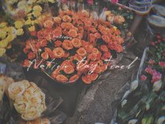 -循礼门鲜花花市(武汉循礼门店)