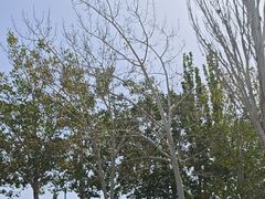 -敦煌石窟文物保护研究陈列中心