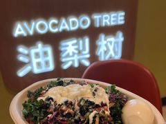 -油梨树AVOCADO TREE(嘉里中心店)