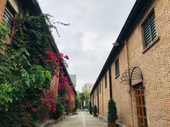 -云溪植物园