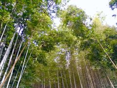 -南昆山十字水生态度假村