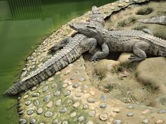 -石家庄市动物园