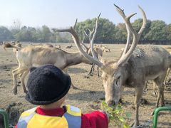 -溱湖国家湿地公园