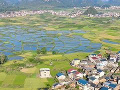 -会仙湿地