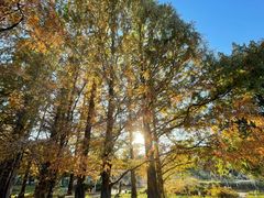 -国家植物园南园