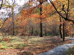 -丹东天桥沟景区