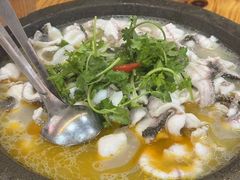 -大鼎石锅鱼(春江里店)