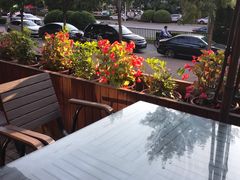 -丹江渔村(望京店)