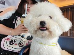 -星巴克臻选(成都太古里店)