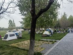 -汉长安城未央宫国家考古遗址公园