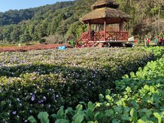 -广州市石门国家森林公园