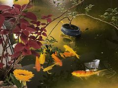 -漫笙舍Manse·咖啡·民宿