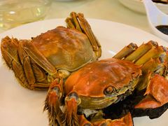 -王宝和酒家(黄浦店)