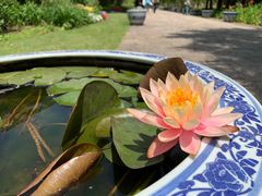 -上海滨江森林公园