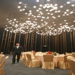 android_upload_pic-西安威斯汀大酒店·宴会厅