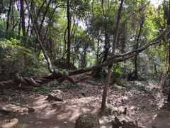 -窦圌山风景区