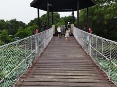 -荷塘月色湿地公园·向阳花洲