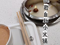 -龍歌自助小火锅(崂山丽达店)