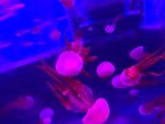 -石林冰雪海洋世界
