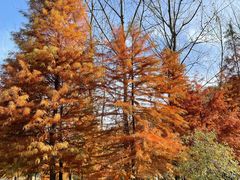 -南京市无想山景区