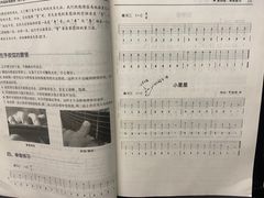 -Monkey Music小猴子现代音乐