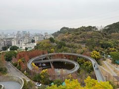 -福道