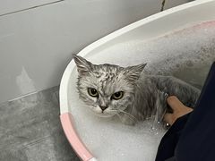 -宠颐生宠物医院·犬猫全科·皮肤科(商业街店)