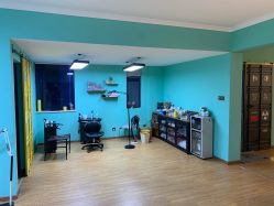 -脱白计划纹身集团