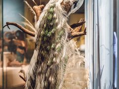 -陕西自然博物馆