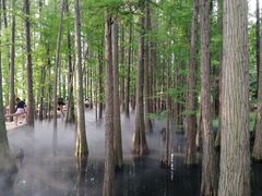 -东湖落雁景区