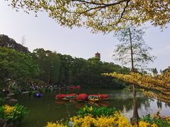 -深圳仙湖植物园