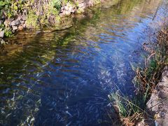 -沕沕水生态风景区