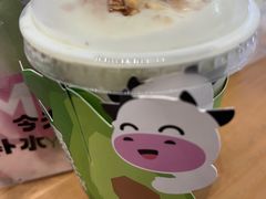 -一只酸奶牛(春熙路店)