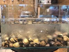 -亮马河饭店翠雅咖啡厅