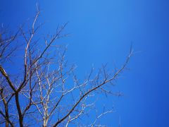 -秦岭终南山世界地质公园翠华山景区