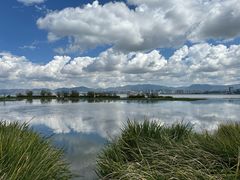 -洱海月湿地公园